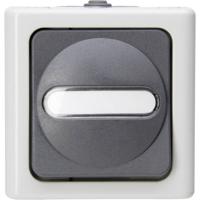 Kopp 561456001 BlueElectric Compleet Knop spatwaterdicht Grijs 1 stuks 1 stuk(s)