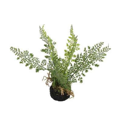 Kunstplant Asparagus groen S