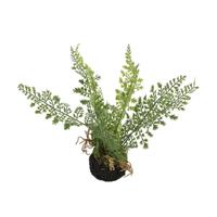 Kunstplant Asparagus groen S