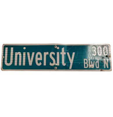 University Metalen Straatbord - 92 x 23 cm