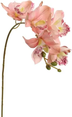 Pure Royal kunsttak orchidee 72cm roze