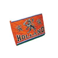 Mega oranje Holland thema vlag van 160 x 325 cm   -