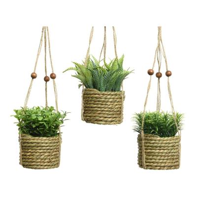 Decoratieve plant Everlands 8 x 12 cm Hanger Touw Groen PVC