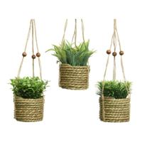 Decoratieve plant Everlands 8 x 12 cm Hanger Touw Groen PVC