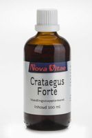 Crataegus forte