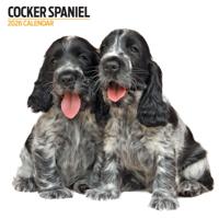 Engelse Cocker Spaniel Modern Kalender 2026