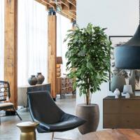 Ficus Exotica deluxe kunstplant 150cm - groen