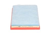 AMC Filter Lucht TA1712