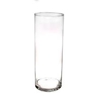 Bellatio flowers & plants Hoge glazen cilinder bloemenvaas - 40 x 15 cm - Transparant Bellatio flowers & plants Hoge glazen cilinder bloemenvaas - 40 x 15 cm - Transparant
