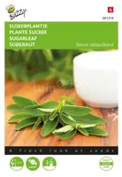 Buzzy® Suikerplantje Stevia Zaden