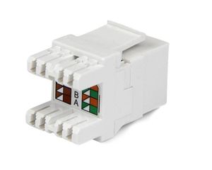 StarTech.com 180° Cat6 Contactbus RJ45 Ethernet Cat6 Wandcontactbus Wit Type 110