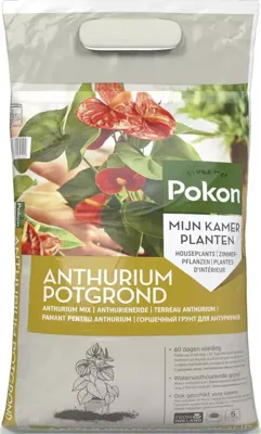 Pokon Potgrond Anthurium 5L