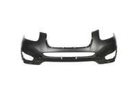 Bumper 5510003181901P