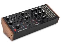 Moog Labyrinth Moog Labyrinth