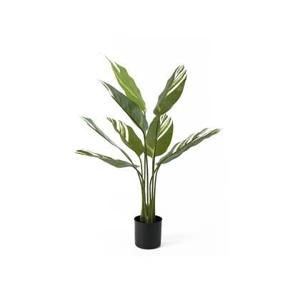 present time - Artificial Plant Calathea