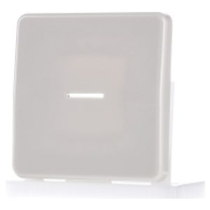 CD 590 KO5  - Cover plate for switch/push button CD 590 KO5