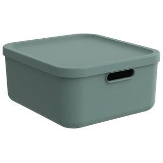 Rotho Decoratie opbergbox albula light 20 l mistletoe groen