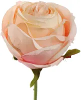 Pure Royal kunsttak roos 54cm peach