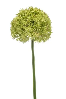 Emerald kunsttak allium 90cm groen