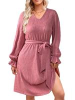 Women's Long Sleeve Summer Gray Purple Plain V Neck Ruffle Sleeve Daily Going Out Casual Knee Length A-Line Dress
