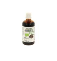 Kruidnagel tinctuur bio