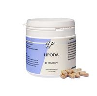 Lipoda Lipoda