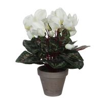 Cyclaam kunstplant wit in keramieken pot H30 x D30 cm - Kunstplanten - thumbnail