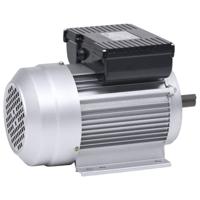 VidaXL Elektromotor 1 fase 2,2 kw/3 pk 2-polig 2800 rpm aluminium