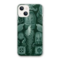Haeckel Cubomedusae: iPhone 13 Transparant Hoesje