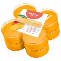 Maxilichten True Scents Mango 8 Stuks 8 Uur