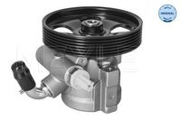 Servo pomp 11146310016