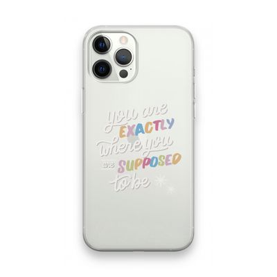 Right Place: iPhone 12 Pro Max Transparant Hoesje
