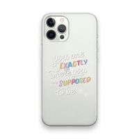 Right Place: iPhone 12 Pro Max Transparant Hoesje