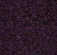 Coral Brush 5739 Byzantine 205 cm breed