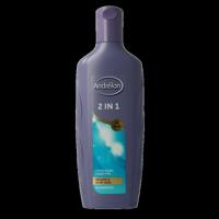 Andrelon Shampoo 2 in 1 300 Milliliter