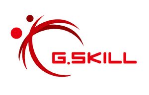 G.Skill Flare X (for AMD) F5-5600J3636C16GX2-FX5 geheugenmodule 32 GB