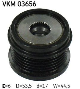 Dynamovrijloop VKM03656