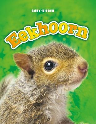 Eekhoorn (Hardback)