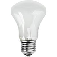 Elinchrom Einstellampe 196V/100W E 27 E23002 Instellicht Elinchrom Einstellampe 196V/100W E 27 E23002 Instellicht