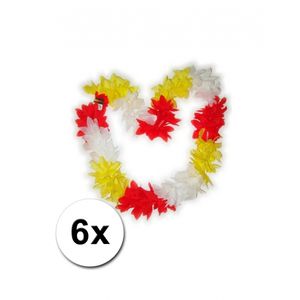 6 Hawaii kransen Brabant
