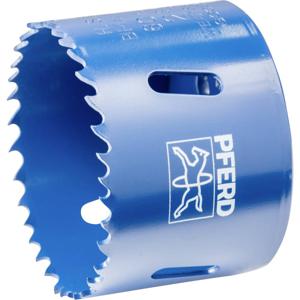 PFERD LS 60 60 mm 2 3/8 25101860 Gatenzaag 60 mm 1 stuk(s)