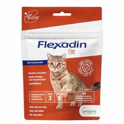 Flexadin Cat 60 Kauwbrokjes