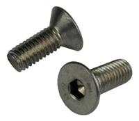 Bofix Bout m6x16 inbus rvs verz ds a 25