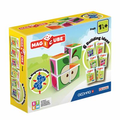 Educatief Spel Geomag