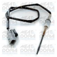 Sensor, uitlaatgastemperatuur 12180