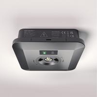 Fuga - LED Opbouwspot Vierkant Noodverlichting Zwart - 3 Watt 280 Lumen - Verwisselbare lens - IP65 waterdicht - 3 uur noodaccu (3300mAh)- 6500K daglicht wit