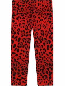 Dolce & Gabbana Kids legging à imprimé léopard - Rouge