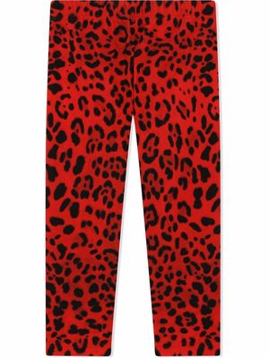 Dolce & Gabbana Kids legging à imprimé léopard - Rouge