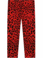 Dolce & Gabbana Kids legging à imprimé léopard - Rouge