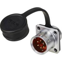 Weipu SF1213/P6 Ronde connector Stekker, recht Totaal aantal polen: 6 Serie (ronde connectoren): SF12 1 stuk(s)